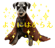 858023947