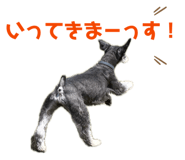 858023948