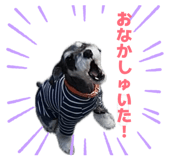 858023950