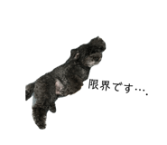 858024254