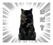 858024337