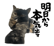 858024349