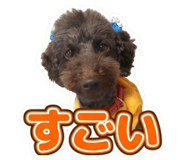 858024376