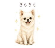 858024443