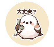 858024833