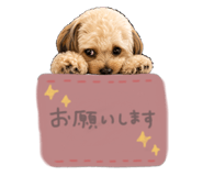 858024963
