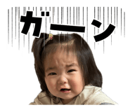 858025203