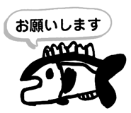 858025582