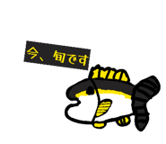 858025597