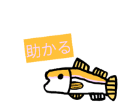 858025599