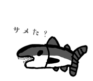 858025602