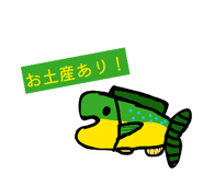 858025605