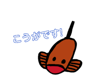 858025608