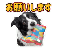 858025748