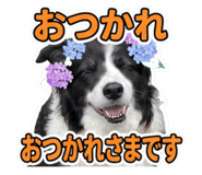 858025751
