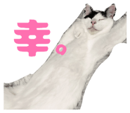 858025768
