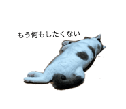 858025769