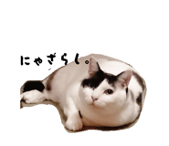 858025770