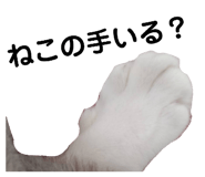 858025775