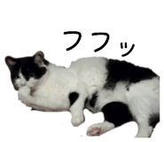 858025782