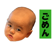 858025911