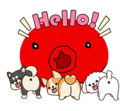 858025935