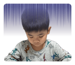 858026005