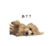 858026257