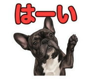 858026333