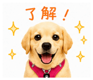 858026750