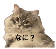858026827