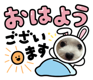 858027326