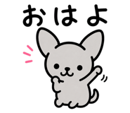 858027563