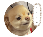 858027753