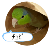 858027755
