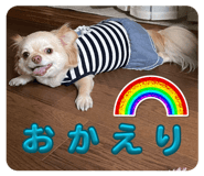 858027767