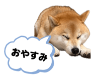 858029079