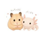 858029801