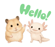 858029803