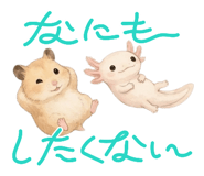 858029812