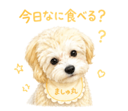 858030188