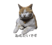 858030194