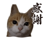 858030199