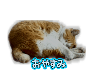 858030200
