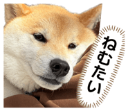 858030776