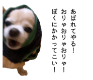 858030805