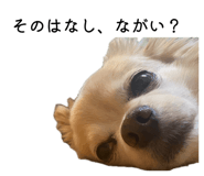 858030806