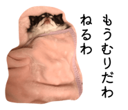 858030807