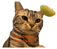858031377
