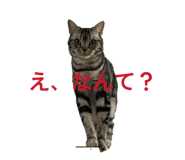858031378